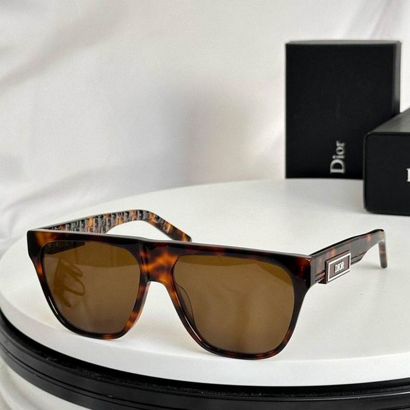 DIOR Sunglasses 491